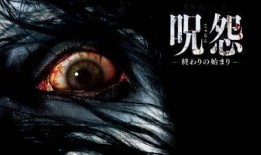 咒怨2003在线观看,惊悚恐怖，揭秘诅咒之屋的恐怖真相